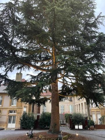 מץ La Cour De La Tresorerie מראה חיצוני תמונה